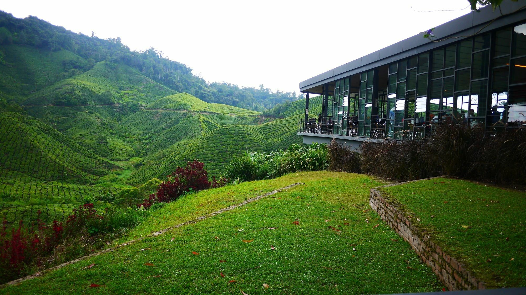 Zetter @ Cameron * Cameron Highlands